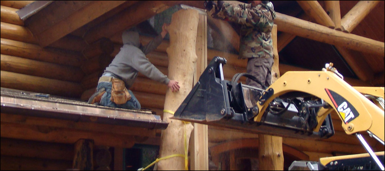 Log Home Log Replacement  Glen Alpine,  North Carolina